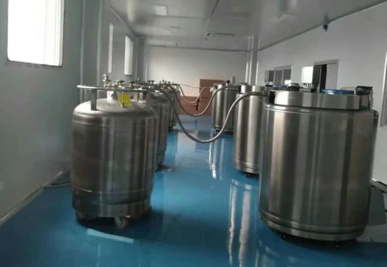 氣相液氮罐 氣相液氮罐