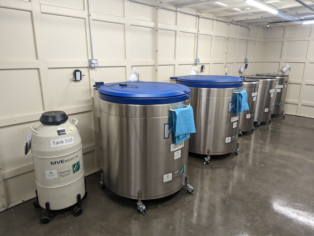 液氮罐房間 液氮罐房間