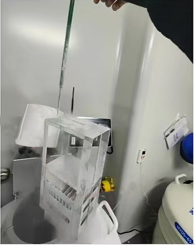液氮罐 液氮罐